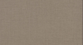 ABS F424 st10 Leinen terra 23x0,8mm