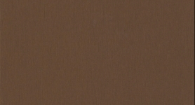ABS F528 st20 Bronze Brushed Metal 23x0,8mm