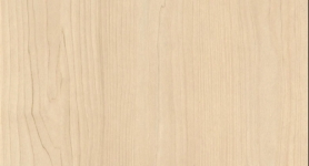 ABS H1732 st9 Sandbirke 22x0,8mm