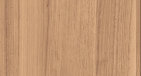 ABS H1715 ST12 PARONA NUSSBAUM 23x2,0 mm