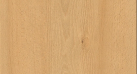 ABS H1910 ST9 Weidbuche 23x2,0 mm