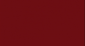 ABS U311 st9 BURGUNDI   23x2,0mm