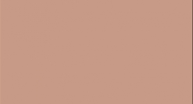 ABS U232 Barack Nude 23x2,0mm