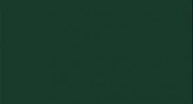 ABS U606 ZÖLD 43x2,0mm
