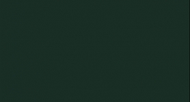 ABS U699 TANNENGRÜN 43x2,0mm