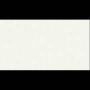 ABS F422 st10 Leinen weiss 23x2,0mm