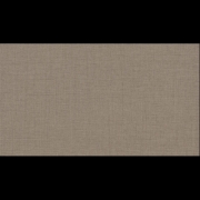 ABS F424 st10 Leinen terra 23x0,8mm