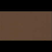 ABS F528 st20 Bronze Brushed Metal 23x0,8mm