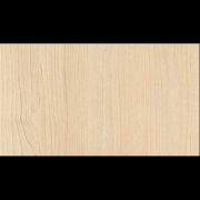 ABS H1732 st9 Sandbirke 23x2,0mm