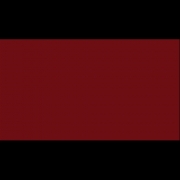ABS U311 st9 BURGUNDI   23x2,0mm