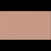 ABS U232 Barack Nude 23x0,8mm