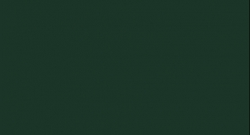ABS U699 TANNENGRÜN 23x0,8mm