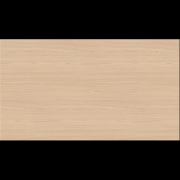 ABS H1204 TM22 Lugano Esche naturhell 43x1mm