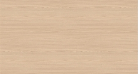 ABS H1204 TM22 Lugano Esche naturhell 43x1mm